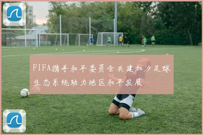 FIFA携手和平委员会共建加沙足球生态系统助力地区和平发展