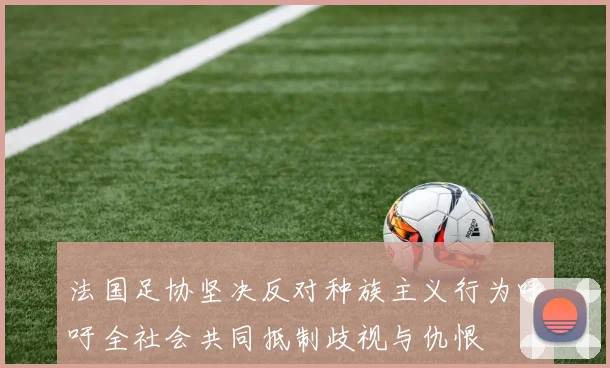 法国足协坚决反对种族主义行为呼吁全社会共同抵制歧视与仇恨