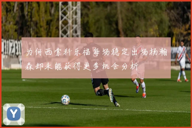 为何西索科乐福每场稳定出场杨瀚森却未能获得更多机会分析