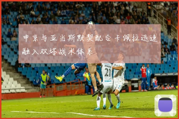 申京与亚当斯默契配合卡佩拉迅速融入双塔战术体系
