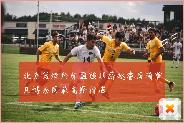 北京若续约陈盈骏顶薪赵睿周琦曾凡博或同获高薪待遇